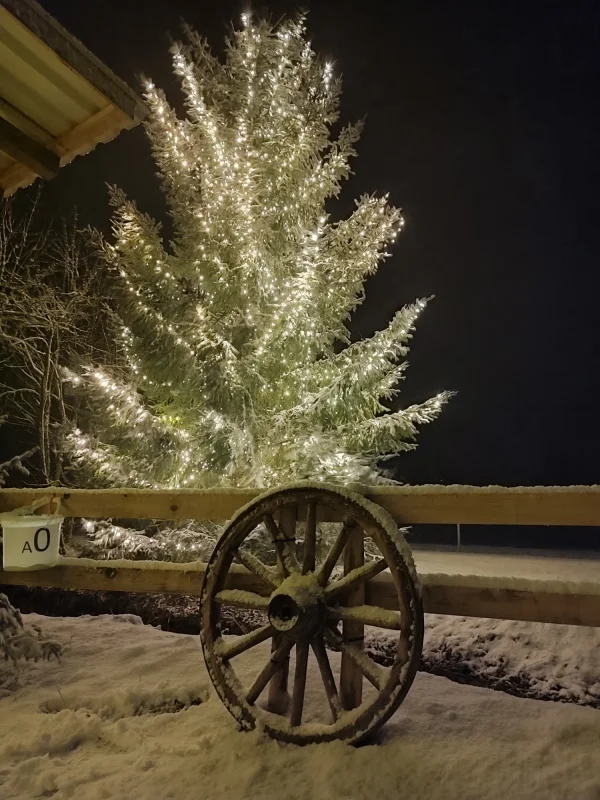Lichterweg 2